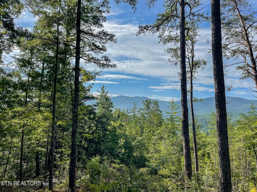 Photo of 849 Hawk View Rd Rd, Townsend, TN 37882 (MLS # 1317624)