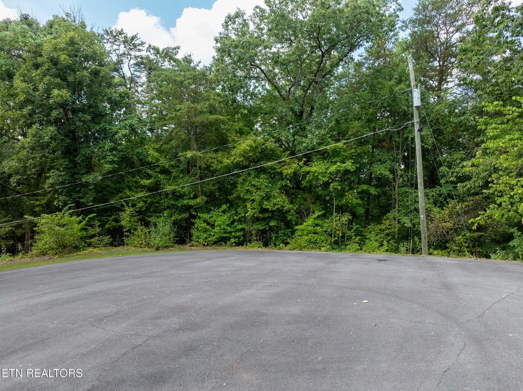 Photo of 56 Blue Byrd Lane, Kodak, TN 37764 (MLS # 1329064)