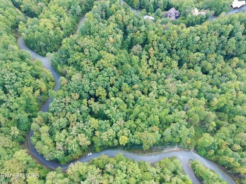 Tiny photo for 714 Pinnacle Vista Rd, Gatlinburg, TN 37738 (MLS # 1316947)