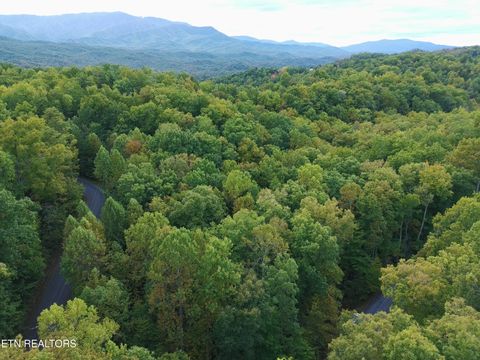 Tiny photo for 714 Pinnacle Vista Rd, Gatlinburg, TN 37738 (MLS # 1316947)