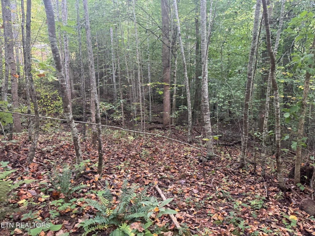 Photo of 714 Pinnacle Vista Rd, Gatlinburg, TN 37738 (MLS # 1316947)