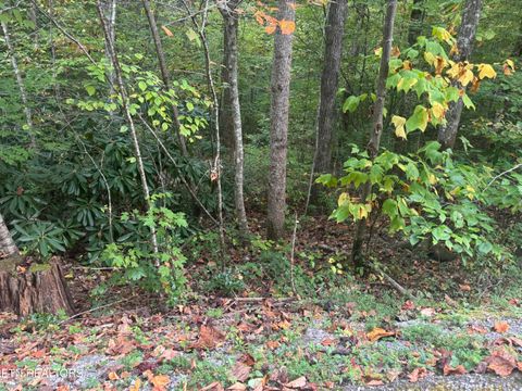Tiny photo for 714 Pinnacle Vista Rd, Gatlinburg, TN 37738 (MLS # 1316947)