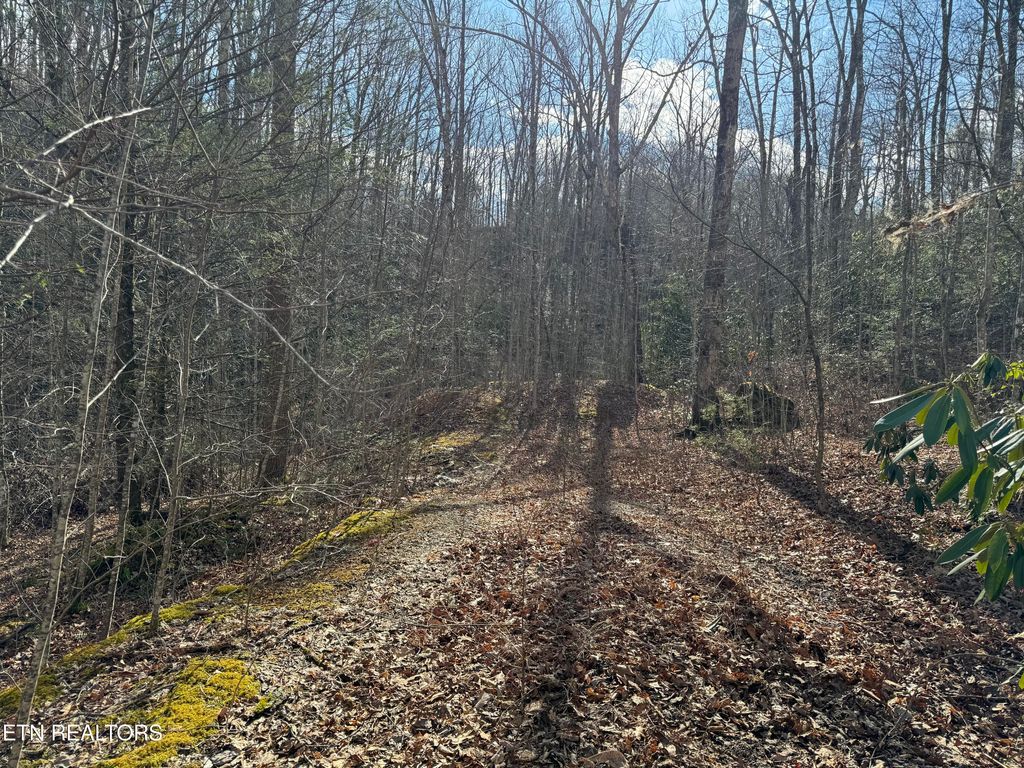 Photo of 714 Pinnacle Vista Rd, Gatlinburg, TN 37738 (MLS # 1316947)