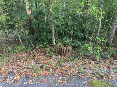 Tiny photo for 714 Pinnacle Vista Rd, Gatlinburg, TN 37738 (MLS # 1316947)