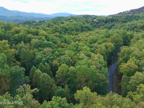 Tiny photo for 714 Pinnacle Vista Rd, Gatlinburg, TN 37738 (MLS # 1316947)