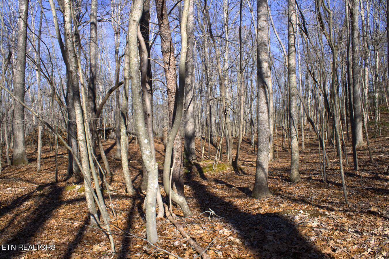 Lot 106+107 Hiwassee View Drive