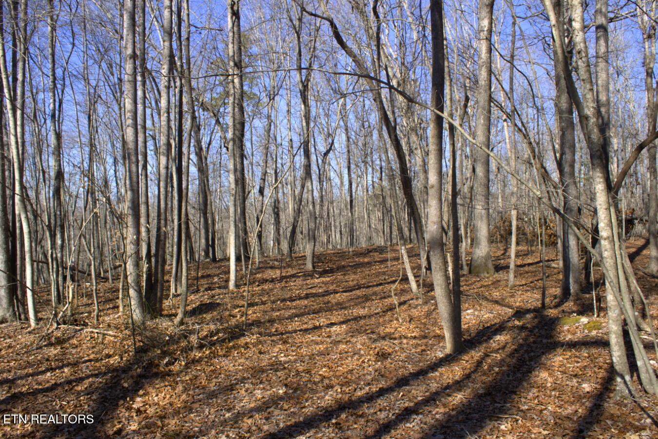 Lot 106+107 Hiwassee View Drive