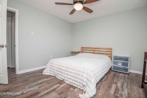 Tiny photo for 2426 Highway 25/70, Strawberry Plains, TN 37871 (MLS # 1332976)