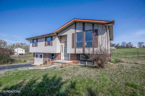 Tiny photo for 2426 Highway 25/70, Strawberry Plains, TN 37871 (MLS # 1332976)