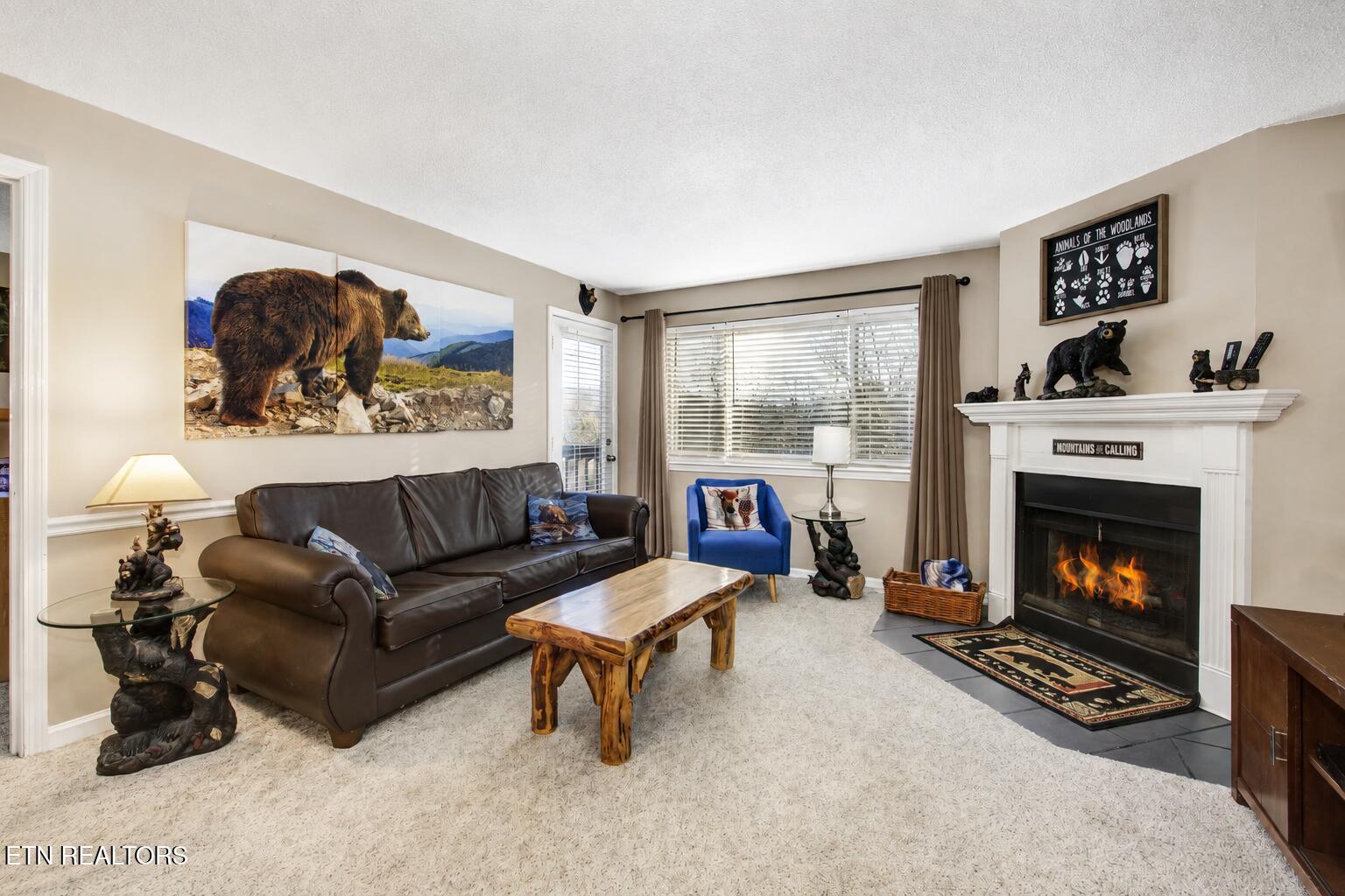 1380 Ski View Drive APT 1205