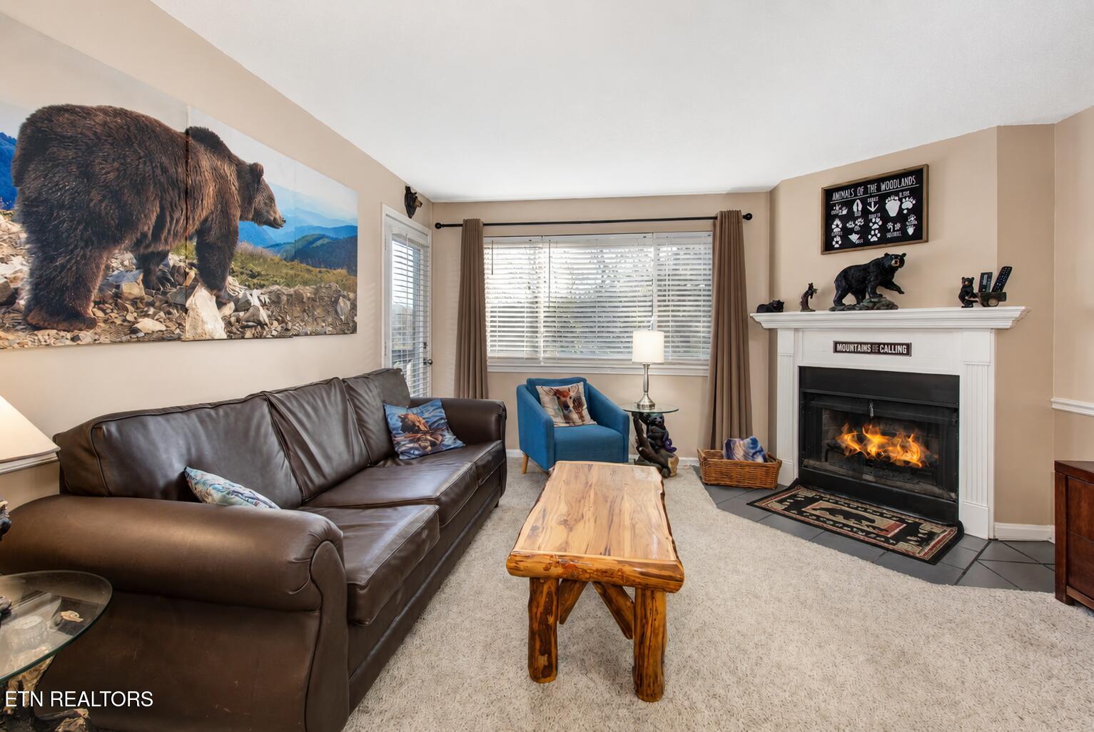 1380 Ski View Drive APT 1205
