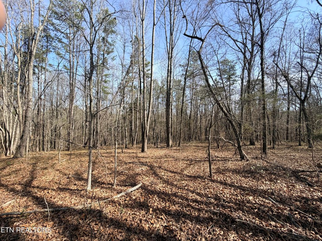 Photo of Montview Rd, Lenoir City, TN 37771 (MLS # 1333139)