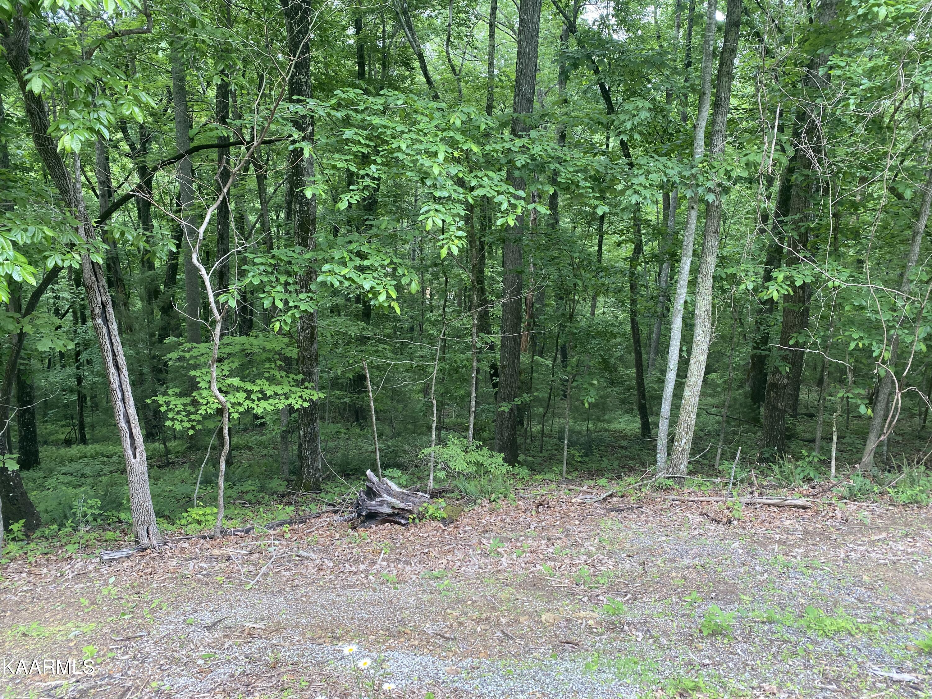 Photo 2 of 2 of 179 Pineridge Loop land