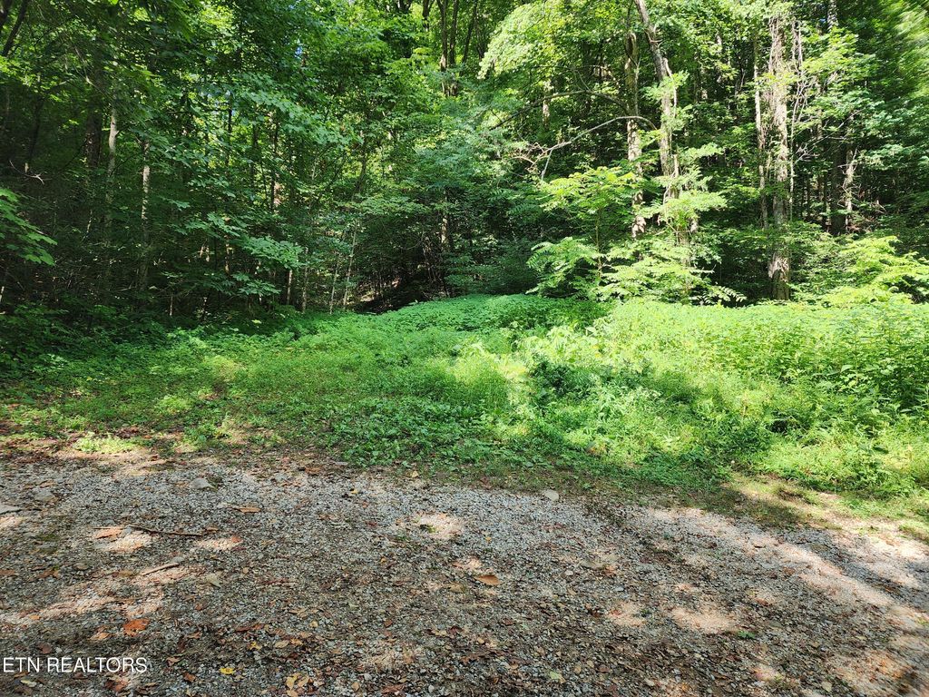 Photo of 1986 Carrs Creek Rd, Townsend, TN 37882 (MLS # 1308500)