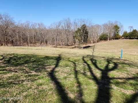 Tiny photo for 319 County Road 361, Niota, TN 37826 (MLS # 1330108)