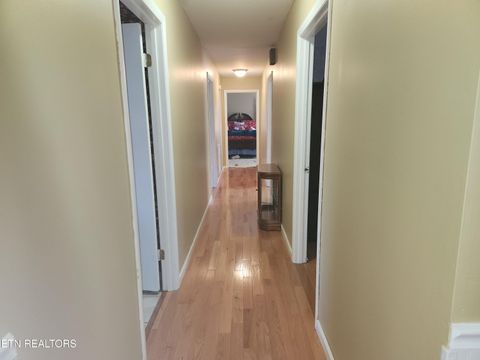 Tiny photo for 319 County Road 361, Niota, TN 37826 (MLS # 1330108)