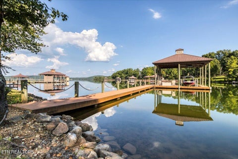 Tiny photo for 436 Waterfront Way, Spring City, TN 37381 (MLS # 1354172)