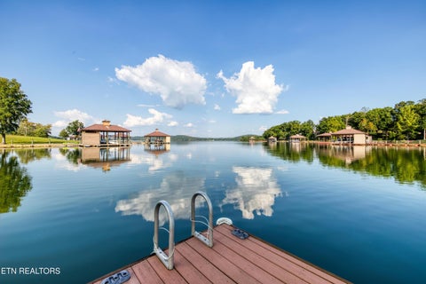 Tiny photo for 436 Waterfront Way, Spring City, TN 37381 (MLS # 1354172)