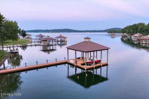 Tiny photo for 436 Waterfront Way, Spring City, TN 37381 (MLS # 1354172)