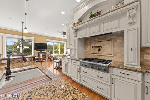 Tiny photo for 436 Waterfront Way, Spring City, TN 37381 (MLS # 1354172)