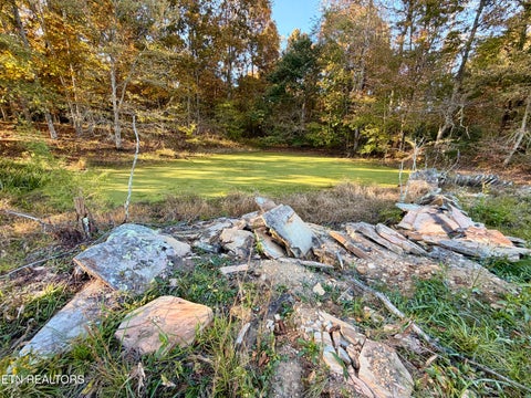 Tiny photo for Poke Patch Rd, Crossville, TN 38572 (MLS # 1359972)