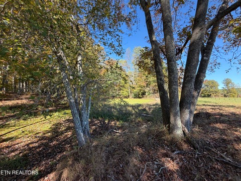 Tiny photo for Poke Patch Rd, Crossville, TN 38572 (MLS # 1359972)