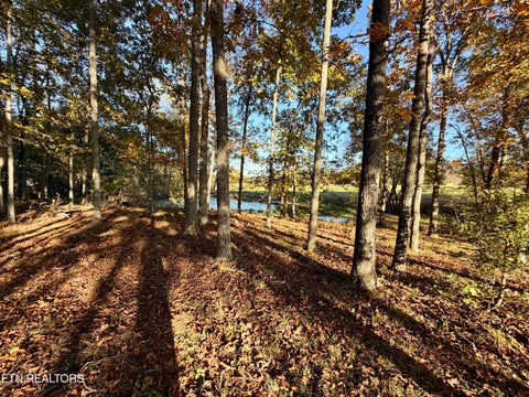 Tiny photo for Poke Patch Rd, Crossville, TN 38572 (MLS # 1359972)