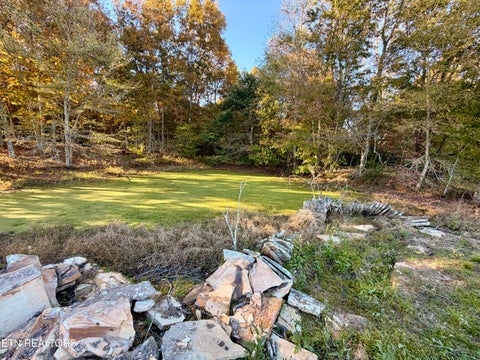 Tiny photo for Poke Patch Rd, Crossville, TN 38572 (MLS # 1359972)