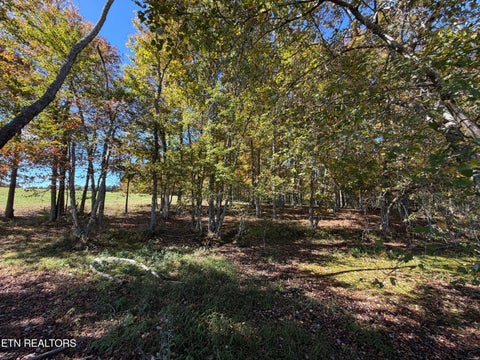Tiny photo for Poke Patch Rd, Crossville, TN 38572 (MLS # 1359972)