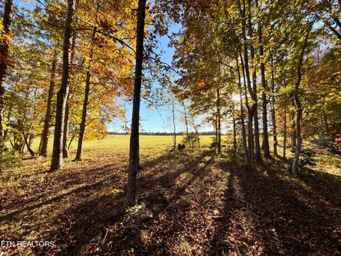 Tiny photo for Poke Patch Rd, Crossville, TN 38572 (MLS # 1359972)