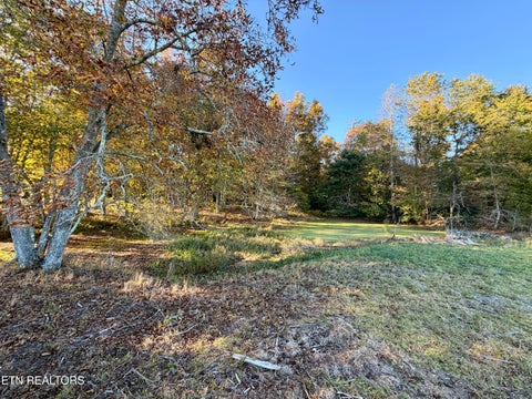 Tiny photo for Poke Patch Rd, Crossville, TN 38572 (MLS # 1359972)