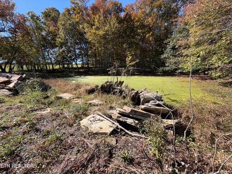 Tiny photo for Poke Patch Rd, Crossville, TN 38572 (MLS # 1359972)