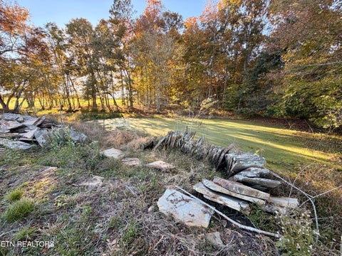 Tiny photo for Poke Patch Rd, Crossville, TN 38572 (MLS # 1359972)