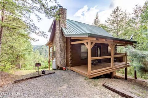 Photo of 4206 Mountain Rest Way, Sevierville, TN 37876 (MLS # 1317423)
