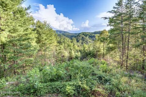 Tiny photo for 4206 Mountain Rest Way, Sevierville, TN 37876 (MLS # 1317423)