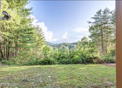Tiny photo for 4206 Mountain Rest Way, Sevierville, TN 37876 (MLS # 1317423)