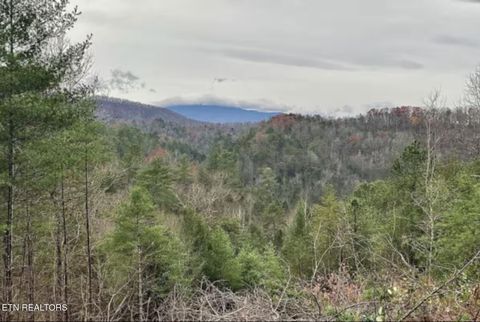 Tiny photo for 4206 Mountain Rest Way, Sevierville, TN 37876 (MLS # 1317423)