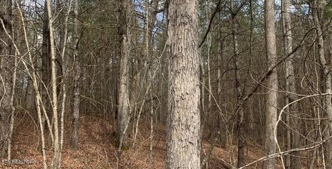 Tiny photo for 154 Coon Creek Rd, Sunbright, TN 37872 (MLS # 1333183)