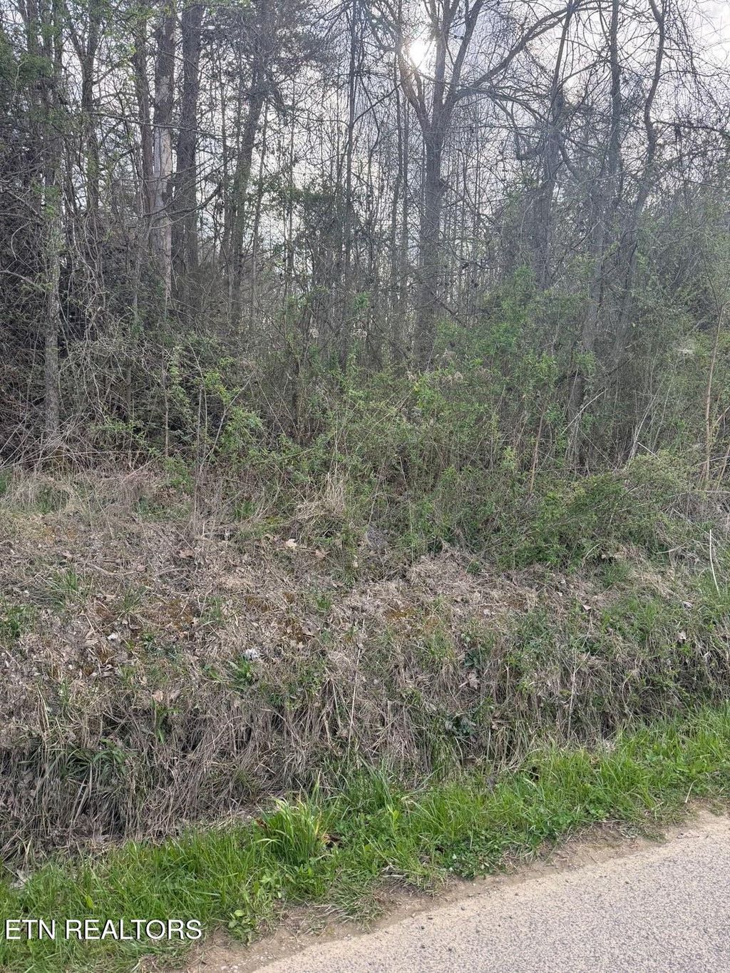 Photo of Griffith Rd, Pikeville, TN 37367 (MLS # 1335948)