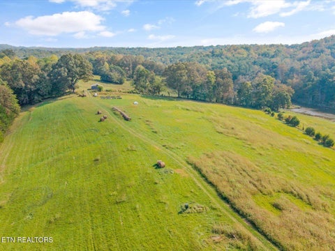 Tiny photo for 1001 Smith School Rd, Strawberry Plains, TN 37871 (MLS # 1359839)