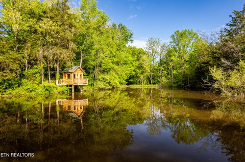 Tiny photo for 153 Finchum Lane, Sevierville, TN 37876 (MLS # 1317634)