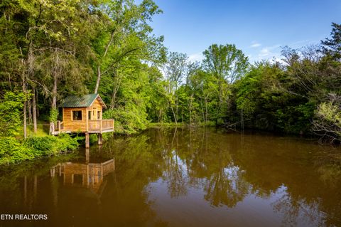 Tiny photo for 153 Finchum Lane, Sevierville, TN 37876 (MLS # 1317634)