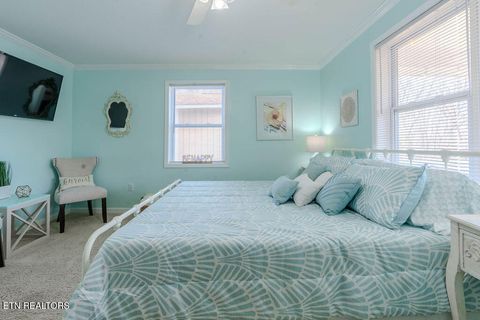 Tiny photo for 153 Finchum Lane, Sevierville, TN 37876 (MLS # 1317634)