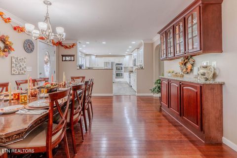 Tiny photo for 153 Finchum Lane, Sevierville, TN 37876 (MLS # 1317634)