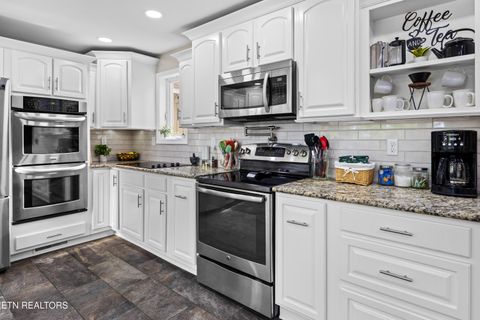 Tiny photo for 153 Finchum Lane, Sevierville, TN 37876 (MLS # 1317634)