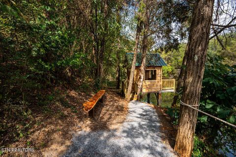 Tiny photo for 153 Finchum Lane, Sevierville, TN 37876 (MLS # 1317634)