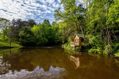 Tiny photo for 153 Finchum Lane, Sevierville, TN 37876 (MLS # 1317634)