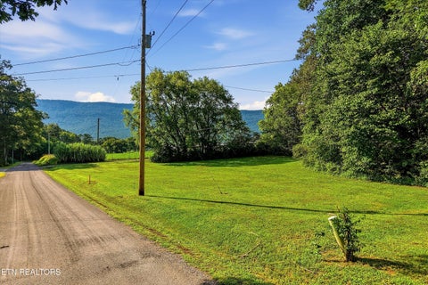 Tiny photo for 2 County Road 882, Etowah, TN 37331 (MLS # 1355731)