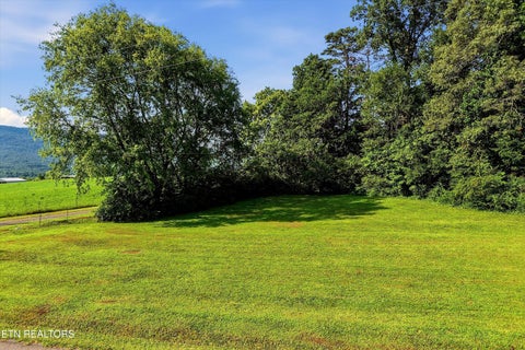 Tiny photo for 2 County Road 882, Etowah, TN 37331 (MLS # 1355731)