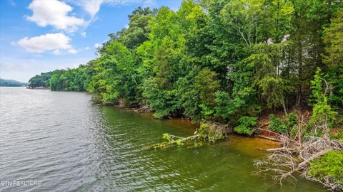 Tiny photo for 243 E Shore Drive, Rockwood, TN 37854 (MLS # 1344165)